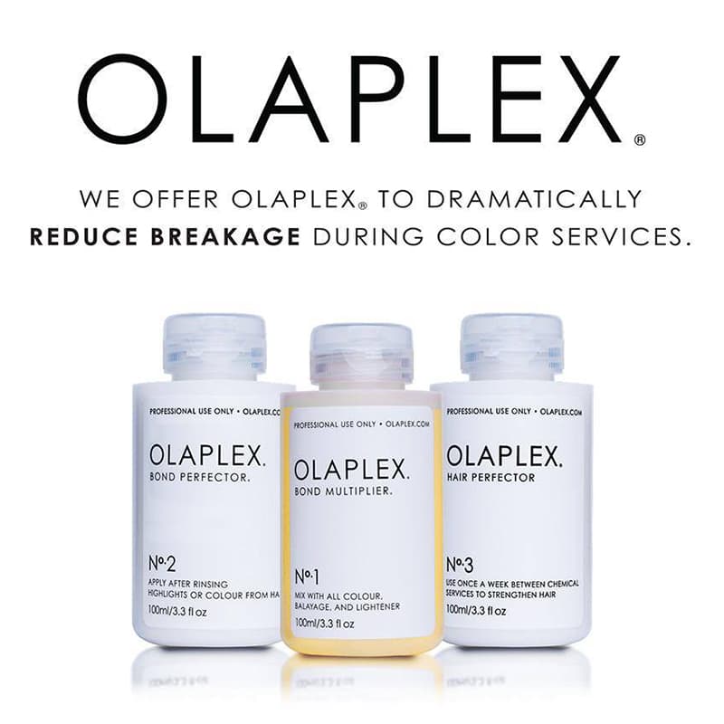 31295990_1646784095359137_7274140015794556893_n