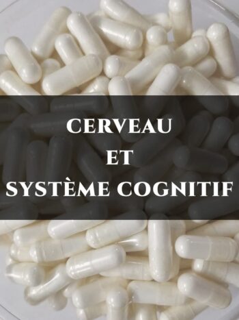 CERVEAU ET SYSTÈME COGNITIF