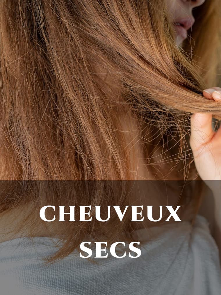CHEUVEUX SECS