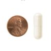 Mason Natural Probiotic Capsules Végétal - 40 Capsules -