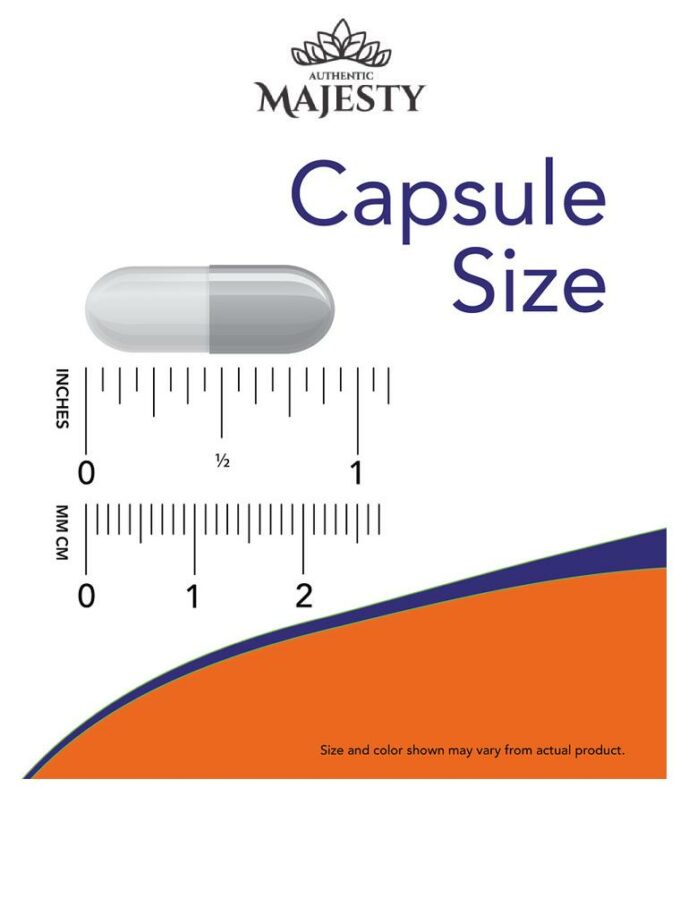 NOW Foods Hydne hérisson (500 mg par capsule) - 60 Vegcaps -