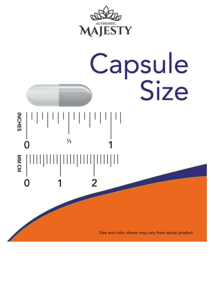 Now Foods Probiotic-10 25 milliards - 50 & 100 Vegcaps -